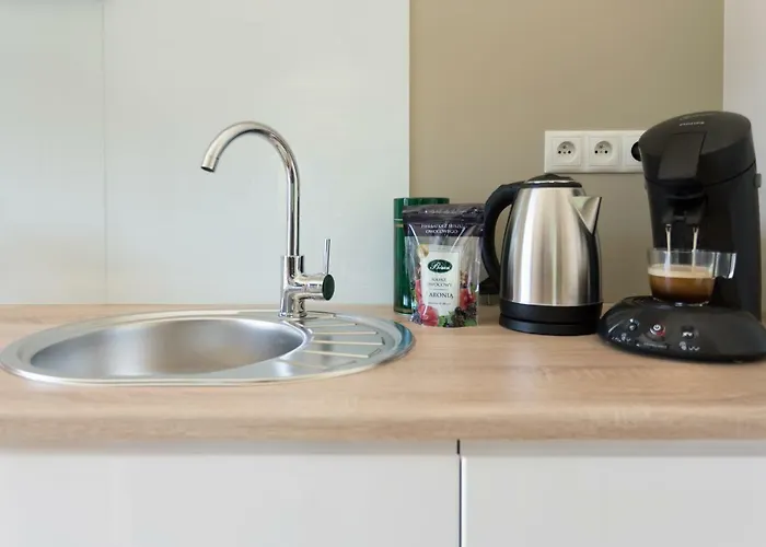 Apartment Liza Lux I Old Town