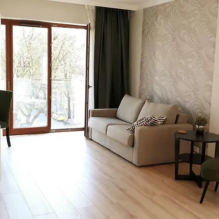 アパート Liza Lux I Old Town ポズナン